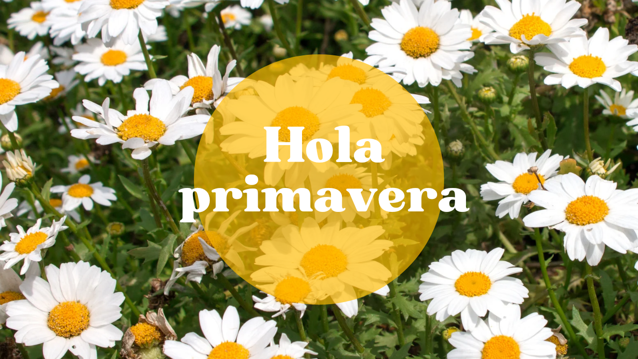 Vitaminas para la primavera. ¿Por qué son buenas y qué nos aportan?